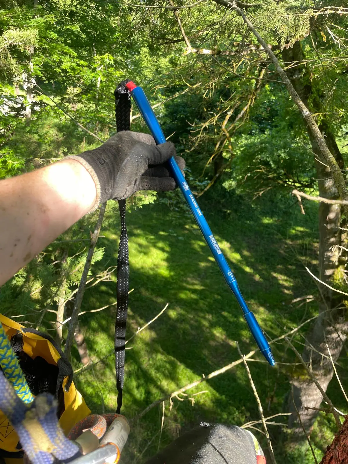 Main gantée tenant une longue aiguille bleue enfilée dans une corde noire, au-dessus d’un pré