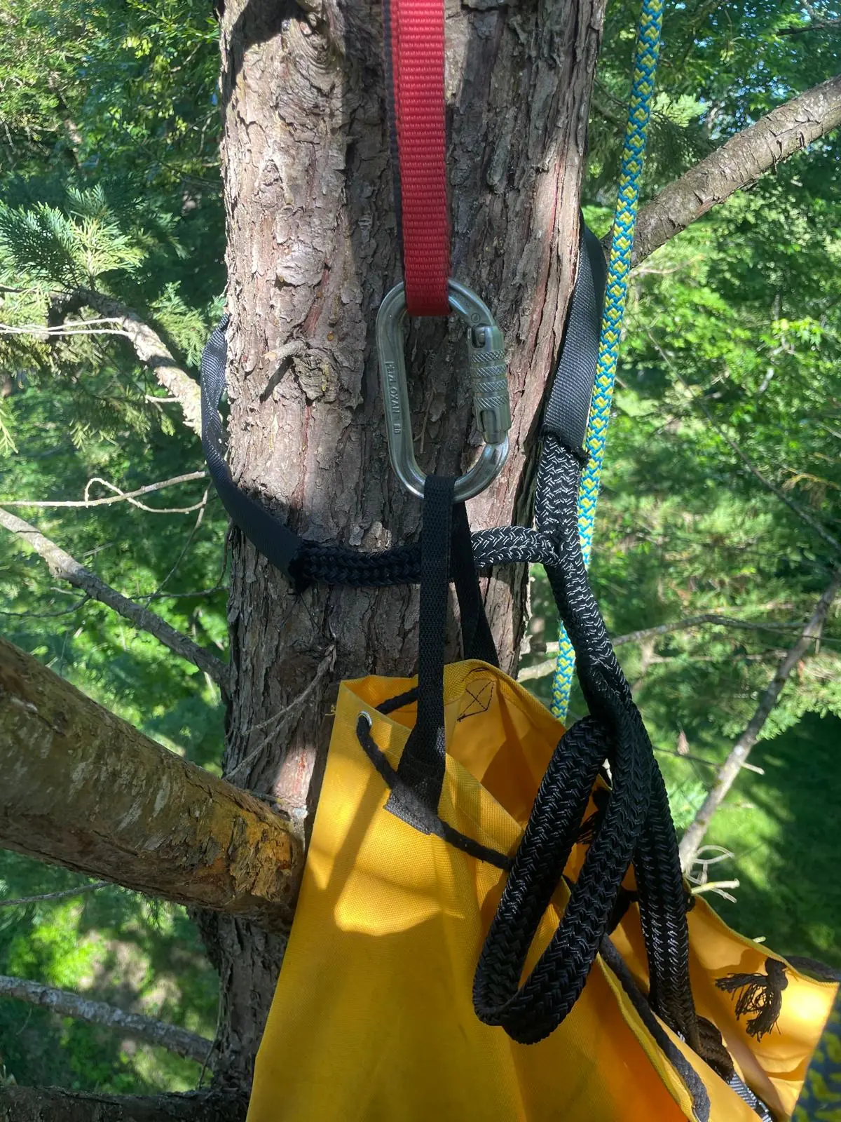 Tronc de conifère entouré d’une sangle noire, une corde noire tissée en boucle qui pend vers un sac jaune, un mousqueton et une sangle rouge