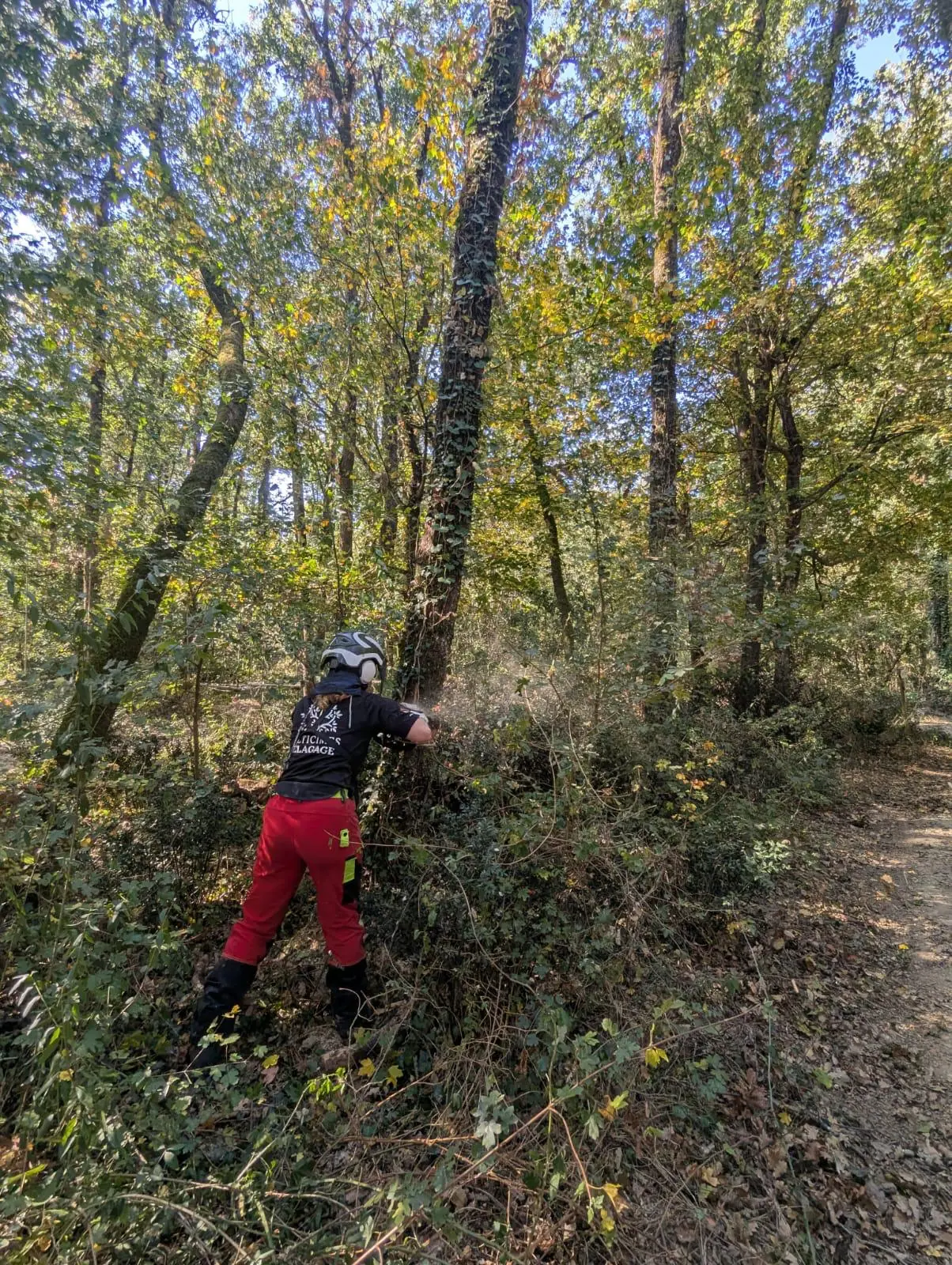Élagueuse de dos en pantalon rouge et casque, dans un sous-bois aux feuilles d’automne
